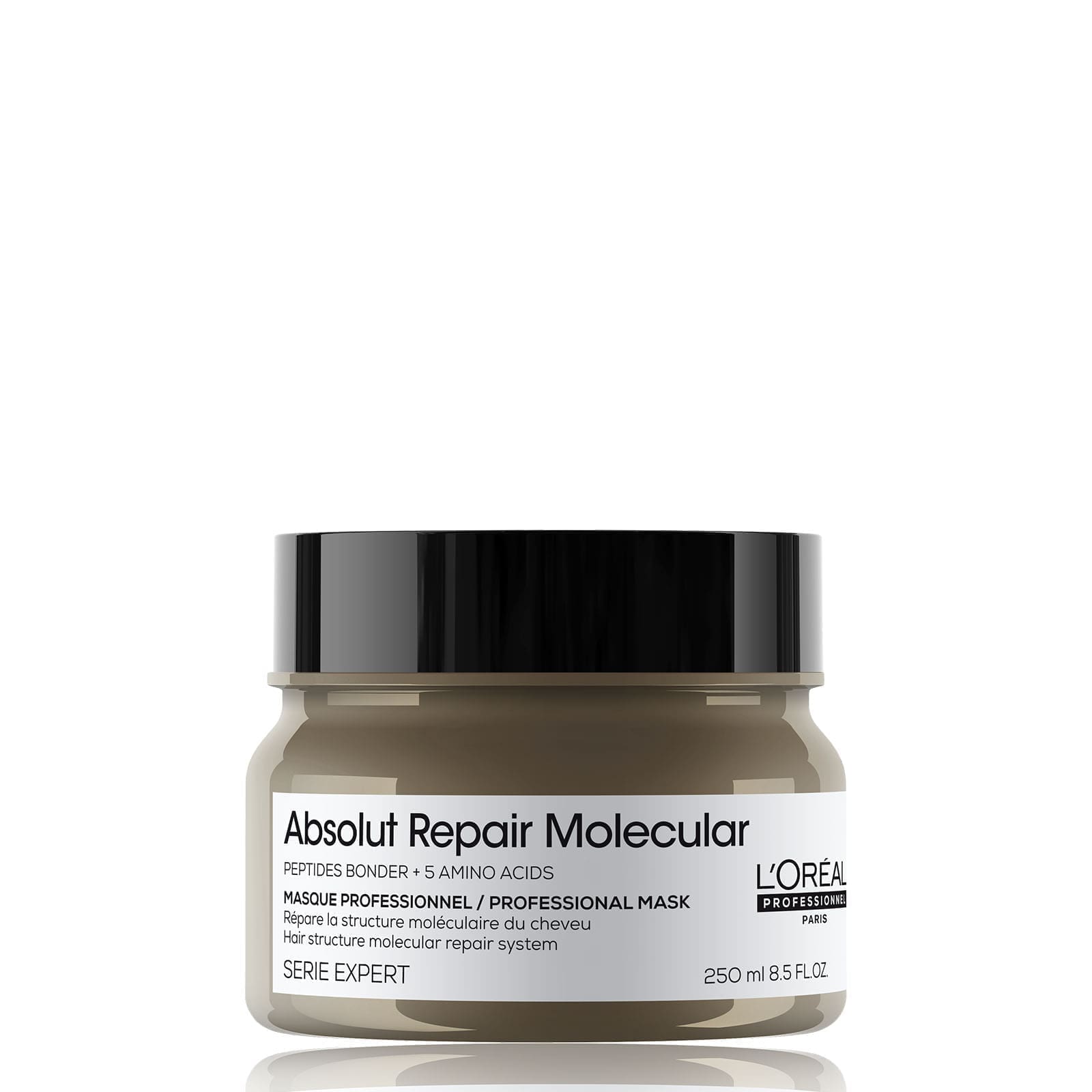 Absolut Repair Molecular Mask for damaged hair. PommeSalon.ca