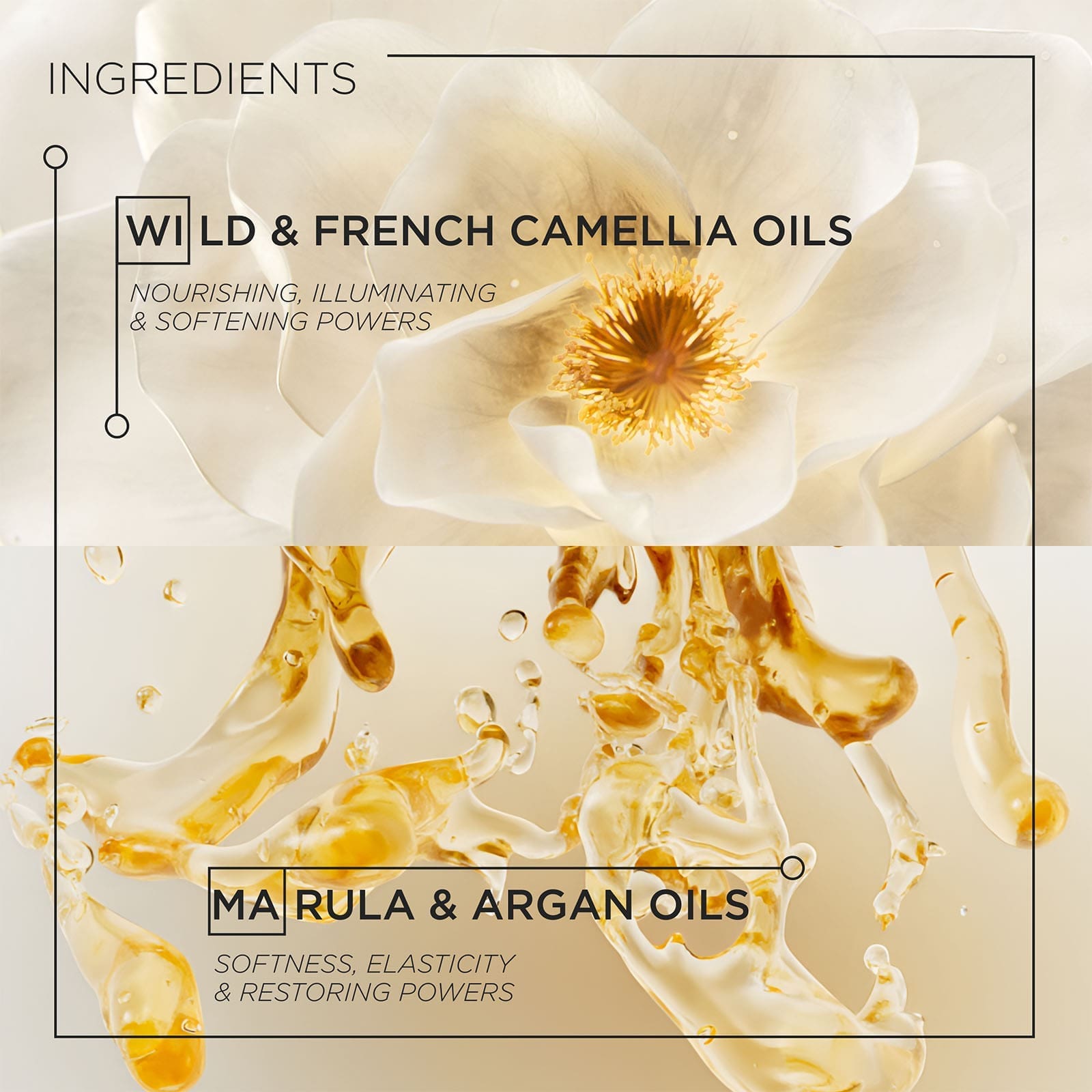 Nutrition, Shine and Strengthening Trio - Image 5